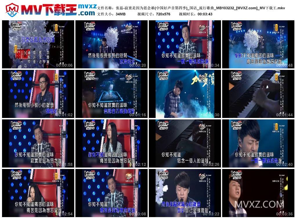 张磊-寂寞是因为思念谁(中国好声音第四季)_国语_流行歌曲_MB103232